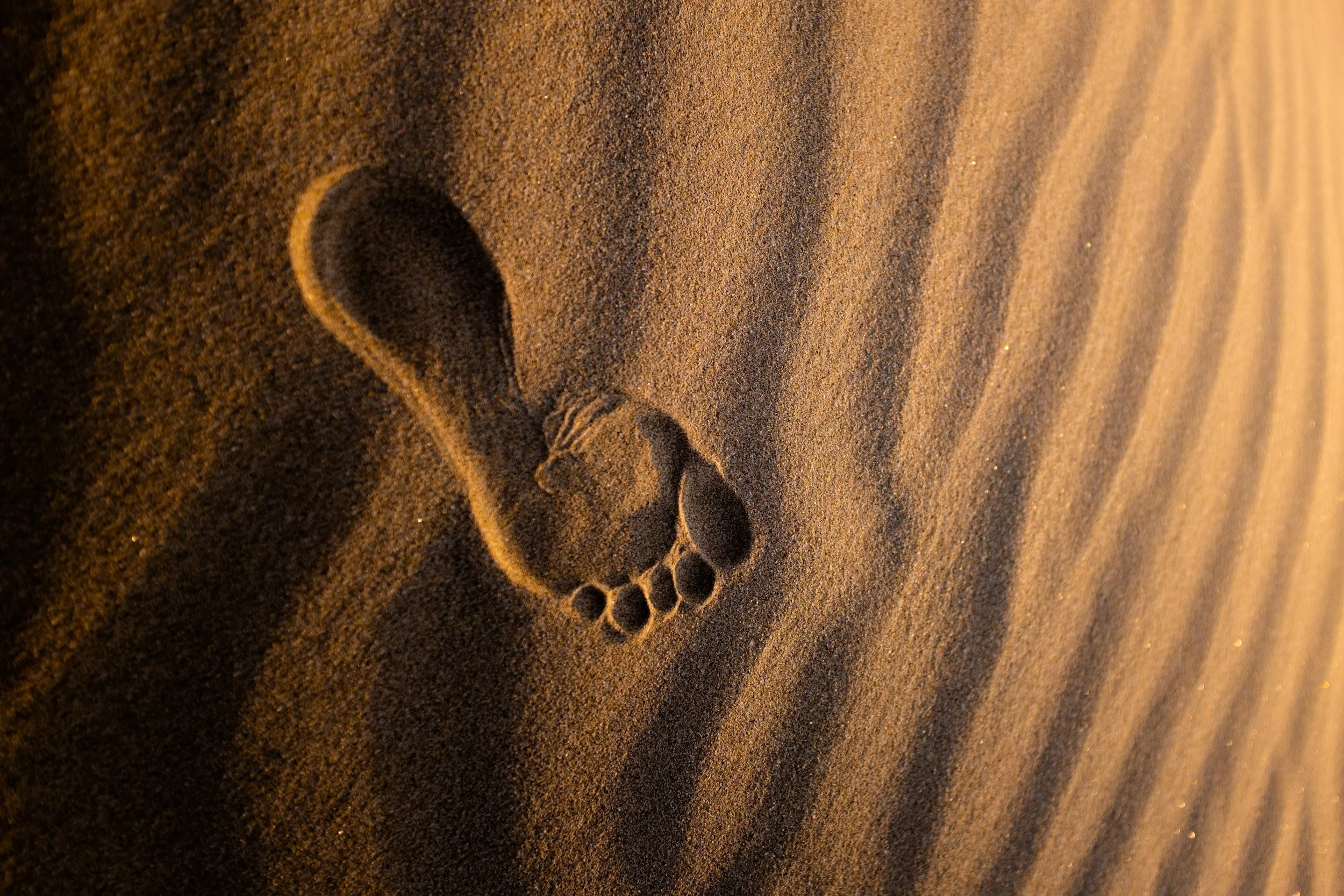 Footprints in the sand on a desert surface.