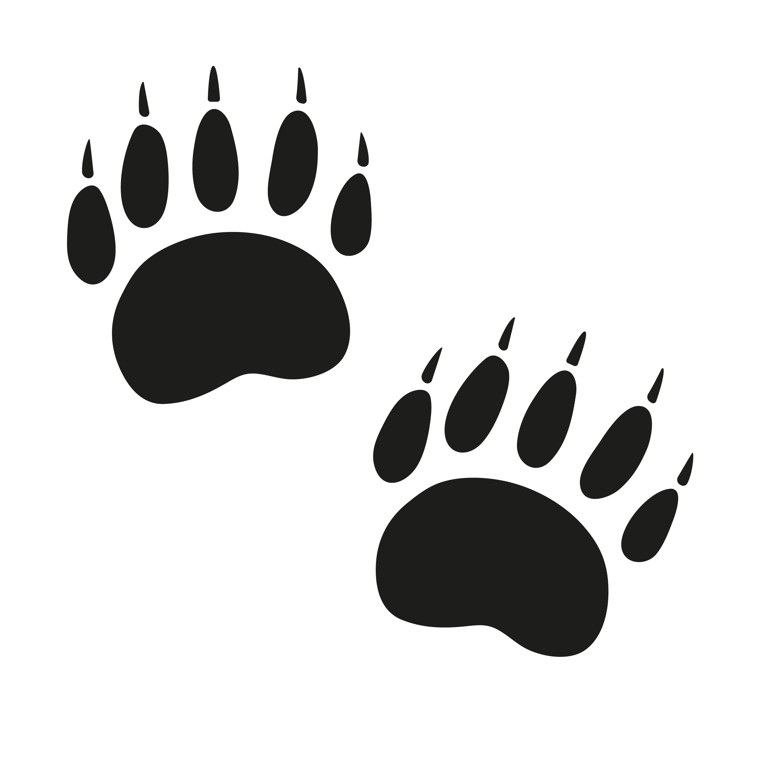 Black paw print graphic with two paw prints positioned diagonally.
