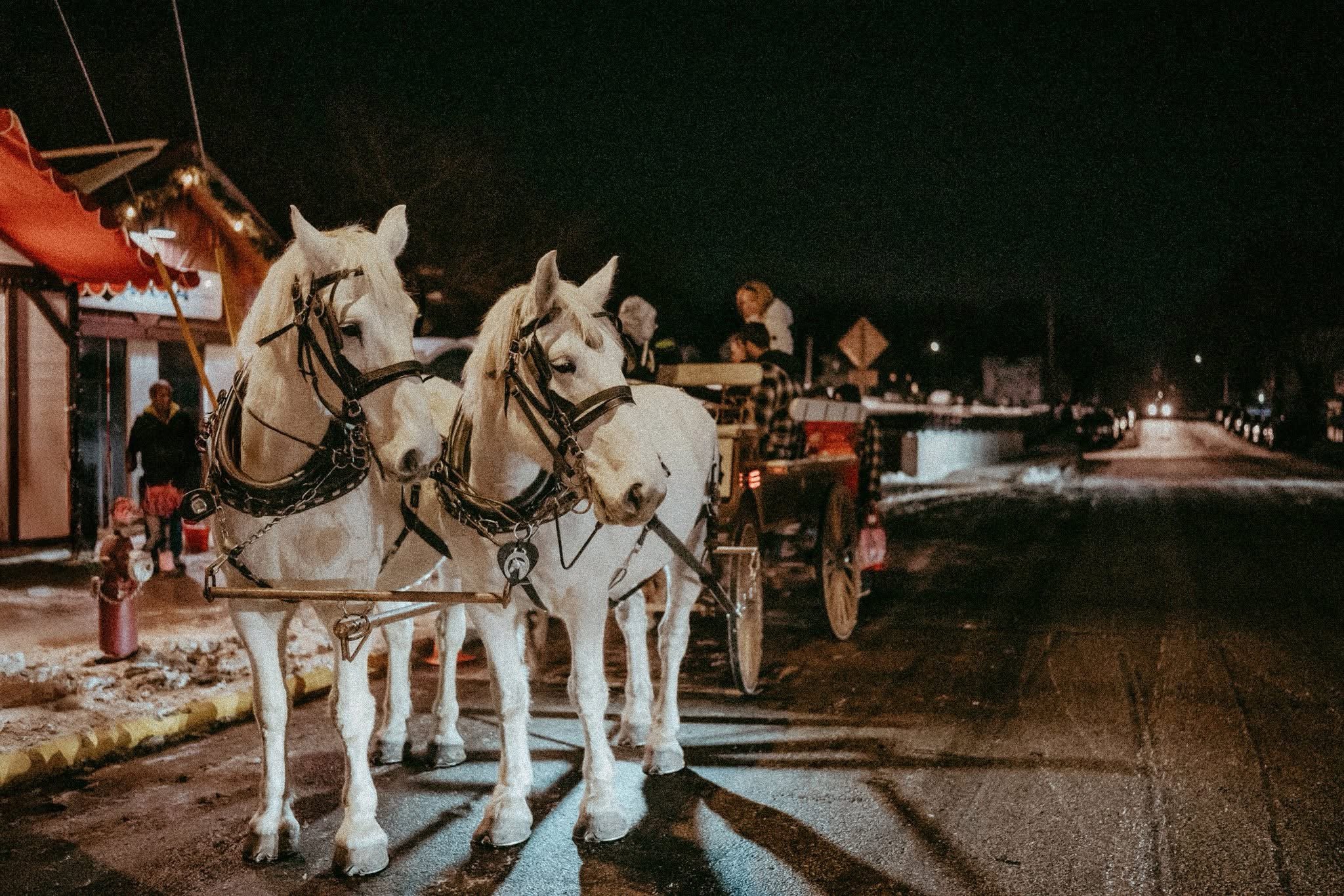 Three white horses hitched to a carriage at night, with people and buildings visible in the background.