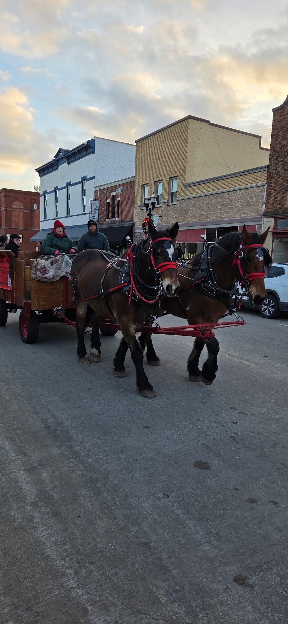 Two horses hitched to a wagon with people riding, on a street with buildings in the background under a cloudy sky.