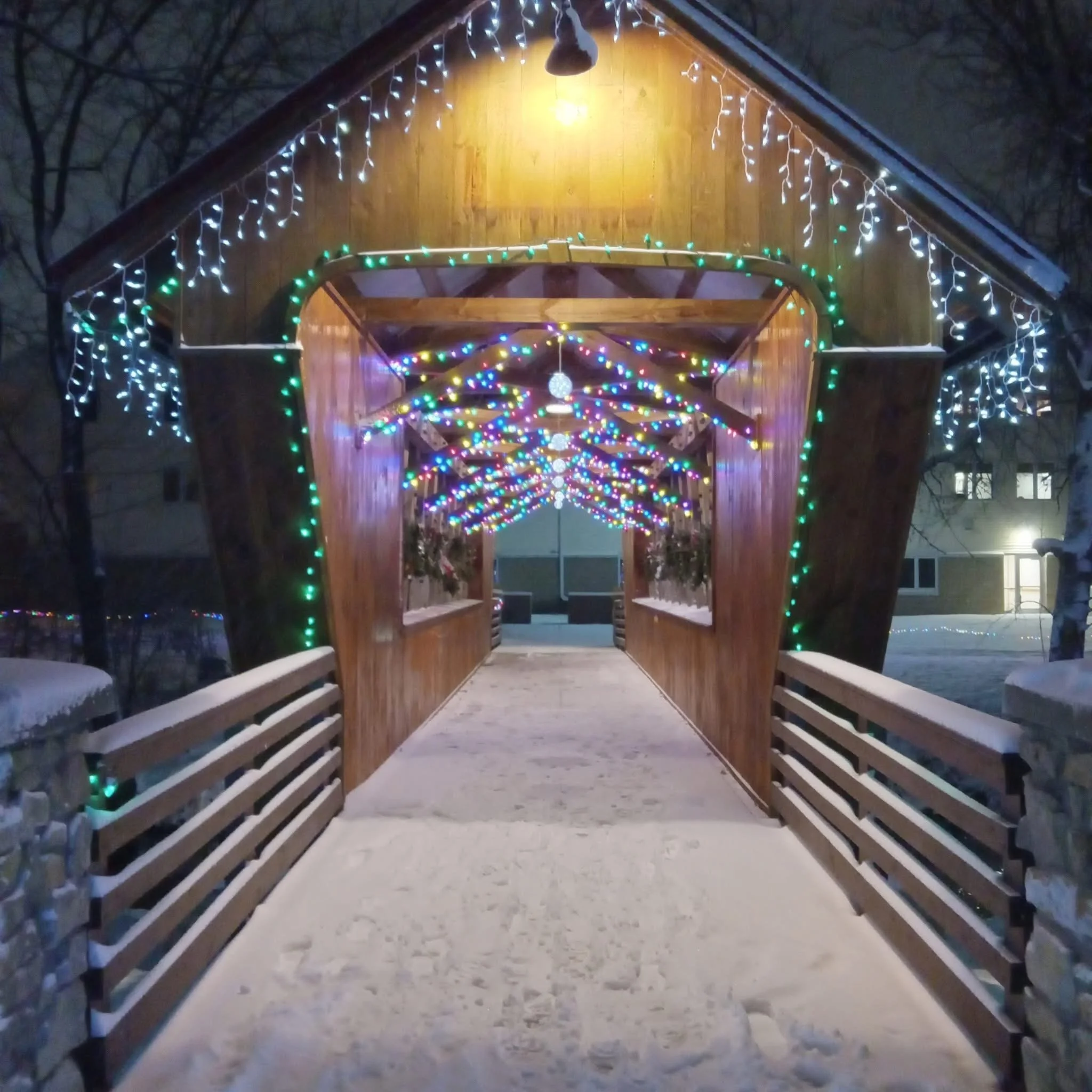 A wooden walkway with decorative lights hanging from the roof, leading through a pathway at night with trees around it, and snow on the ground.