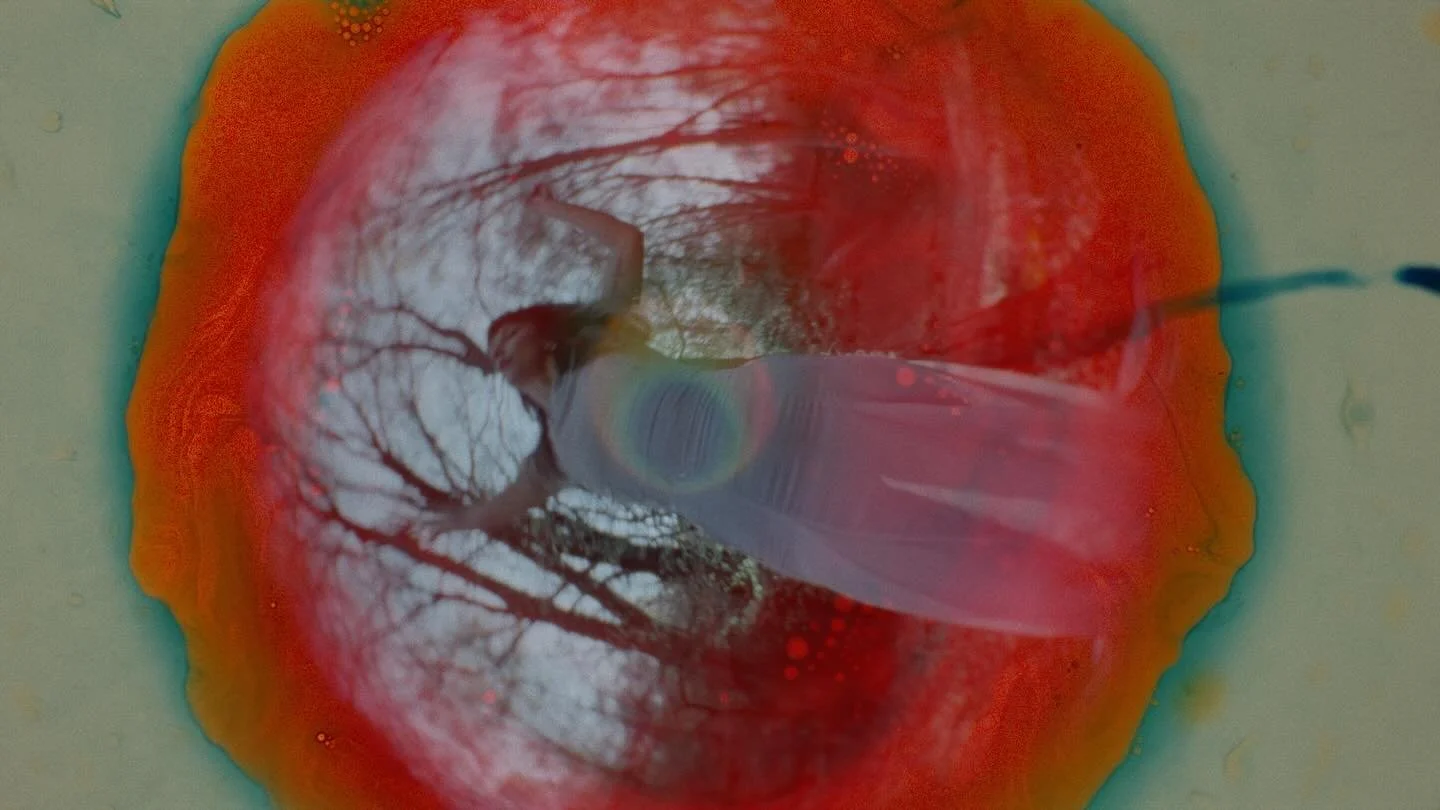 🎥Stills &lsquo;Voices&rsquo; by @marthaa_goddard part 1 of 2 🎥 (video link in my bio) 

💕I want to take this opportunity to thank my wonderful crew &amp; @marthaa_goddard who without this music video wouldn&rsquo;t possible. I&rsquo;m still buildi