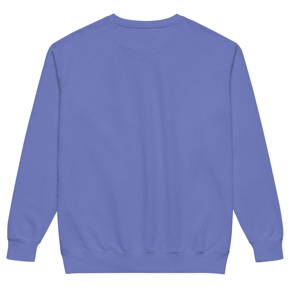 unisex-garment-dyed-sweatshirt-flo-blue-back-6994216bca7c0.png