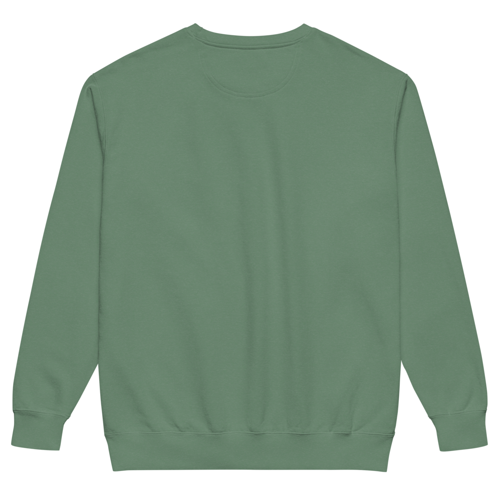 unisex-garment-dyed-sweatshirt-light-green-back-69941728ae552.png