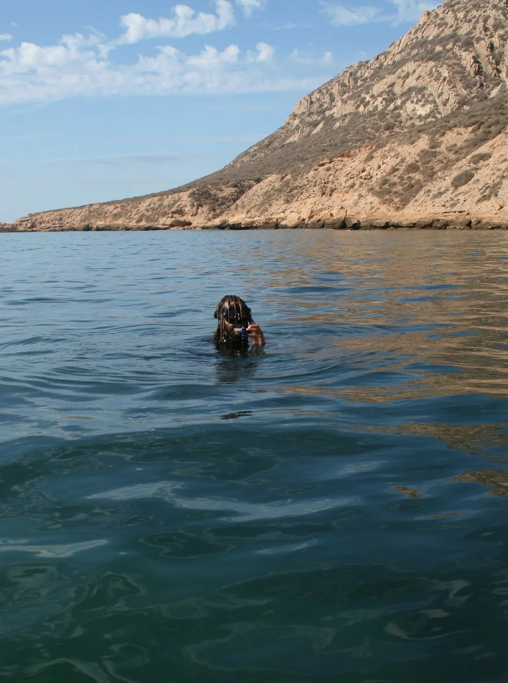 diving-surf-jamal.jpg