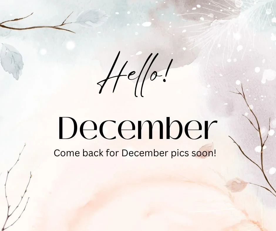 Come back for December pics soon!.jpg