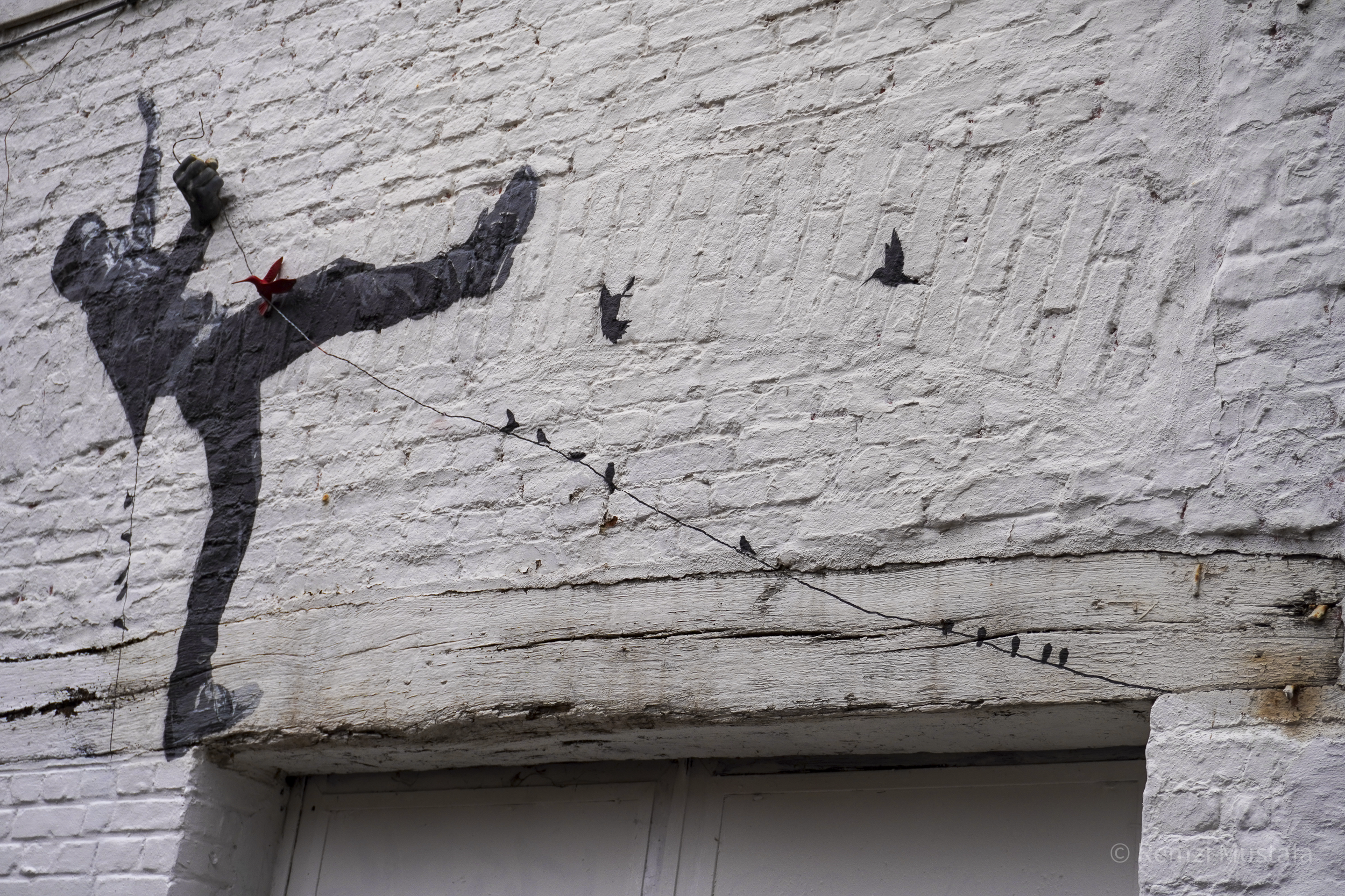 Brussels 2024-131.png