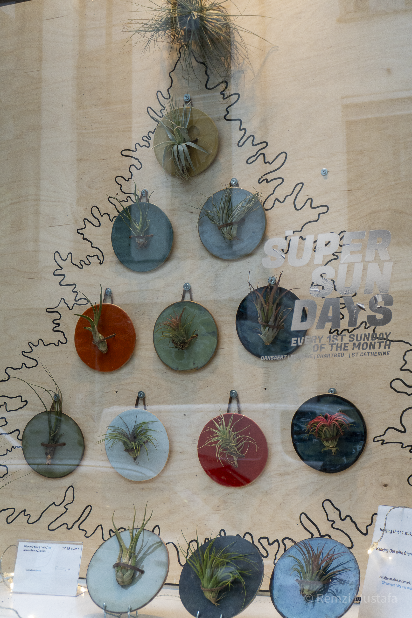 Brussels 2024-020.png