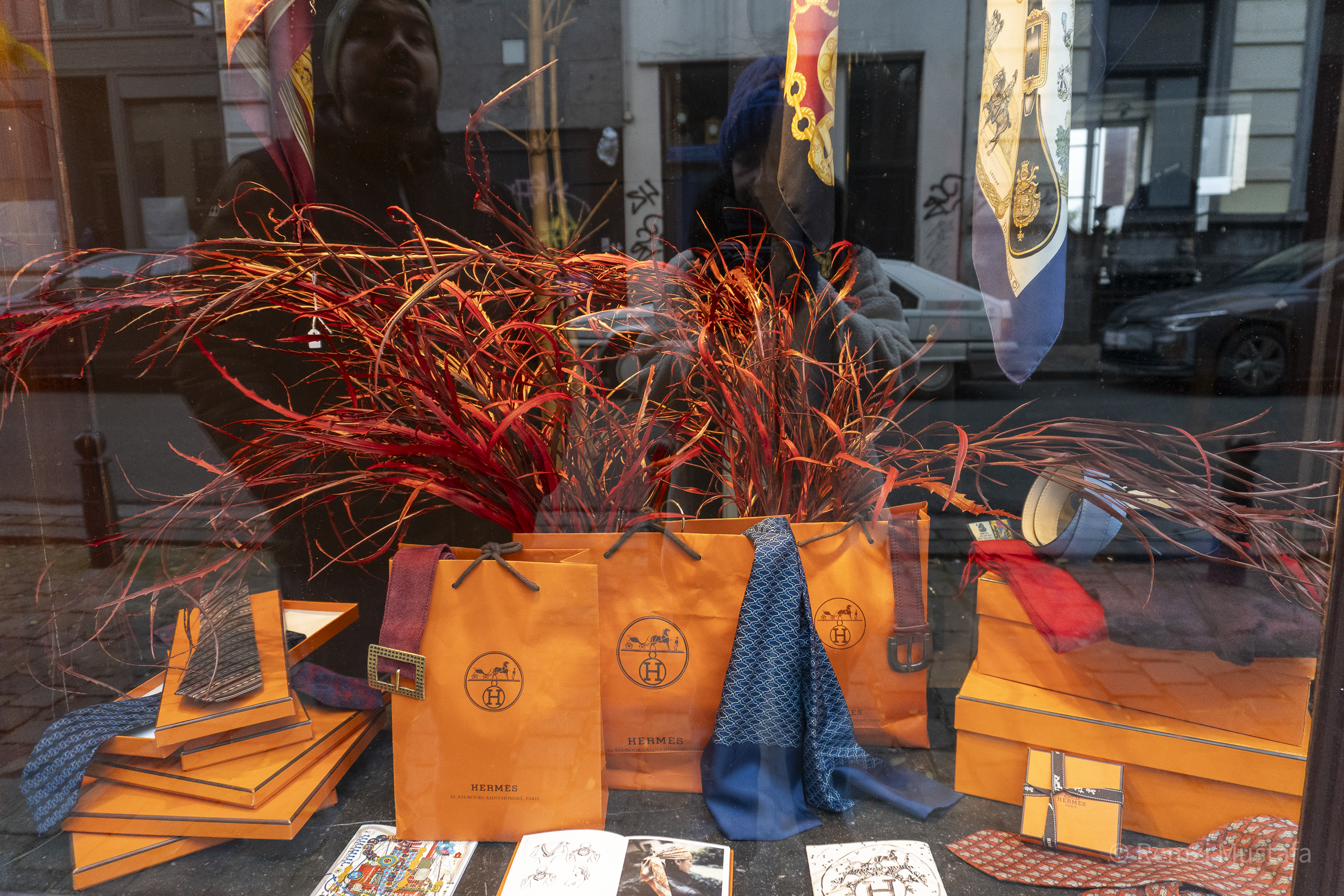 Brussels 2024-038.png