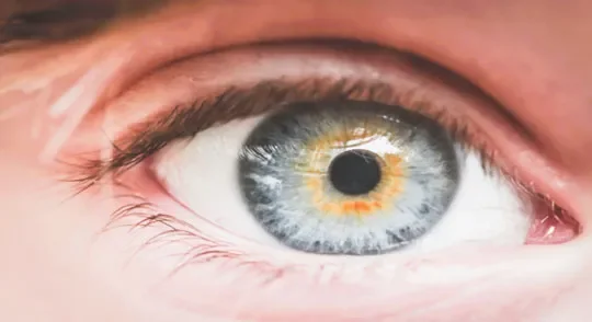 Decoding EMDR: How Your Brain Gets a Makeover