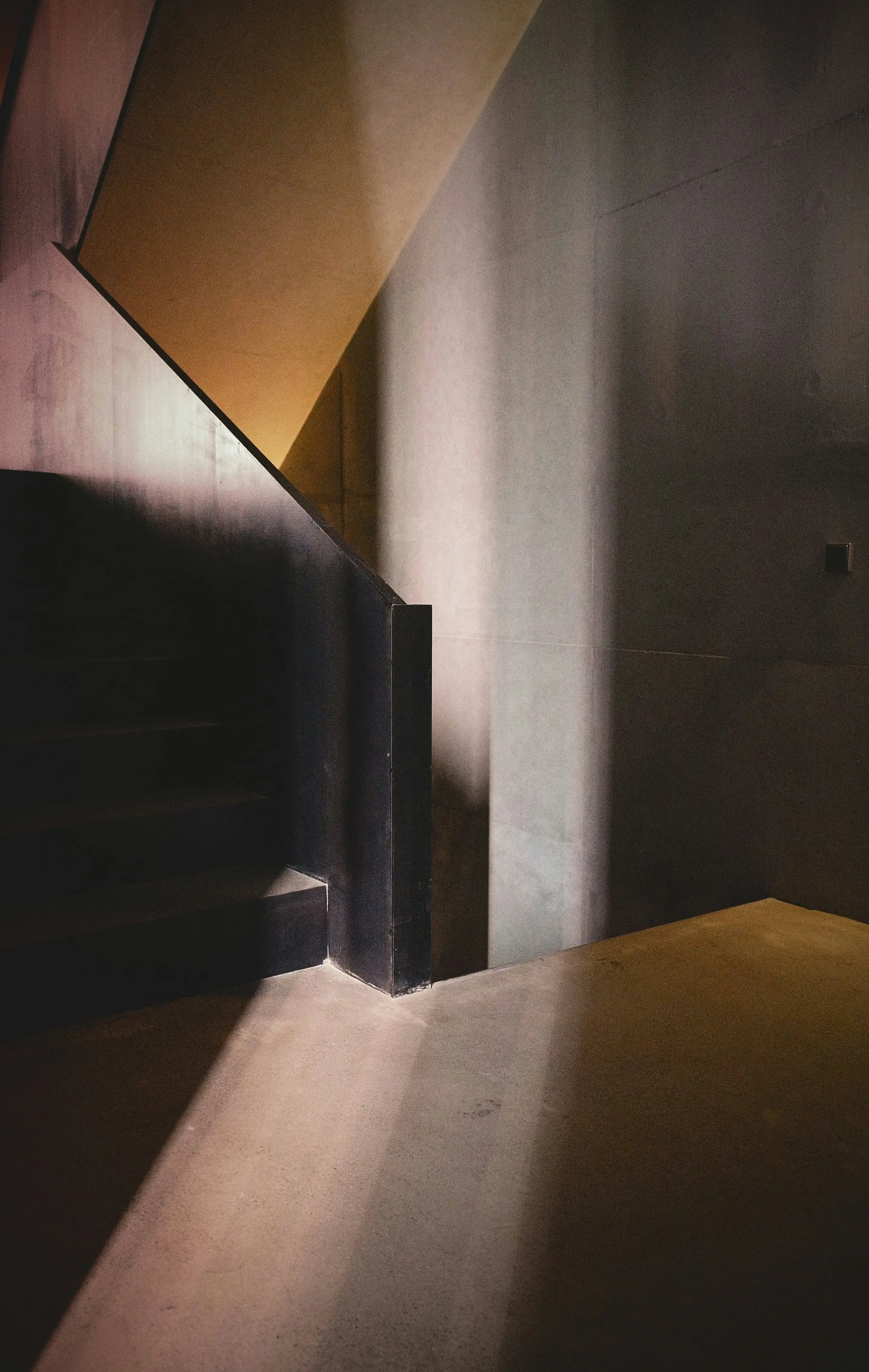 young professional developing early career direction and navigating corporate environments with intention