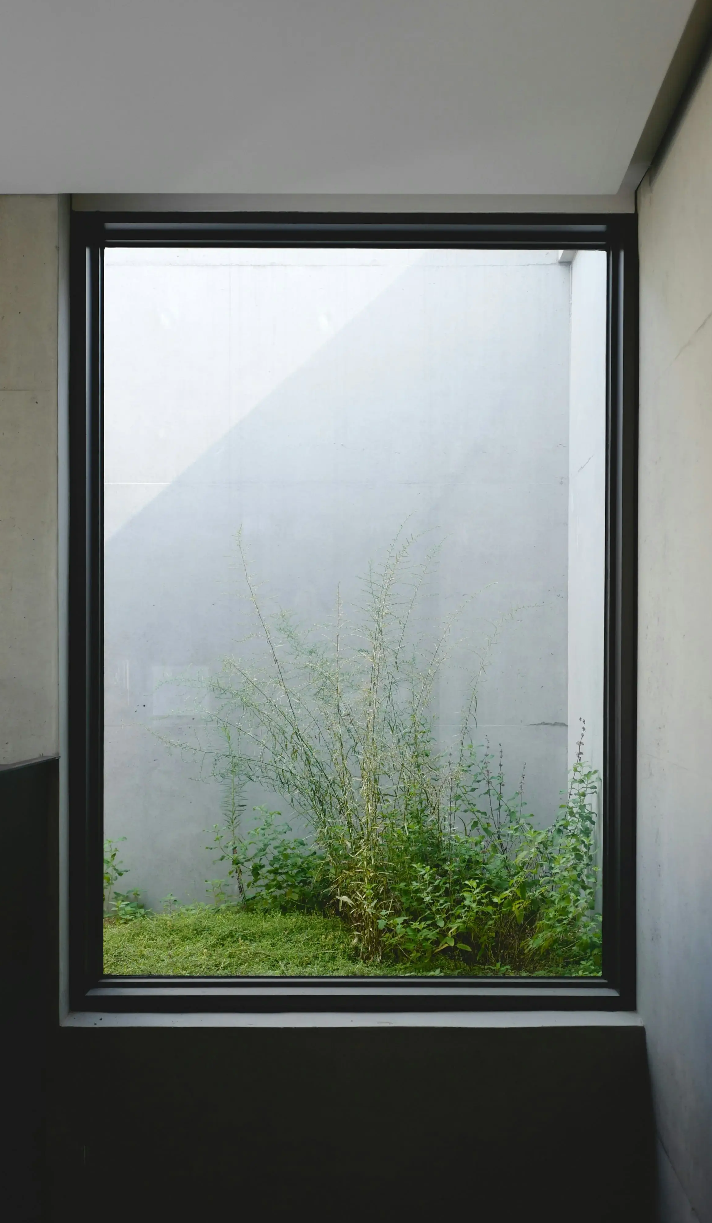 first time founders building a startup with clarity and direction in early stage business development