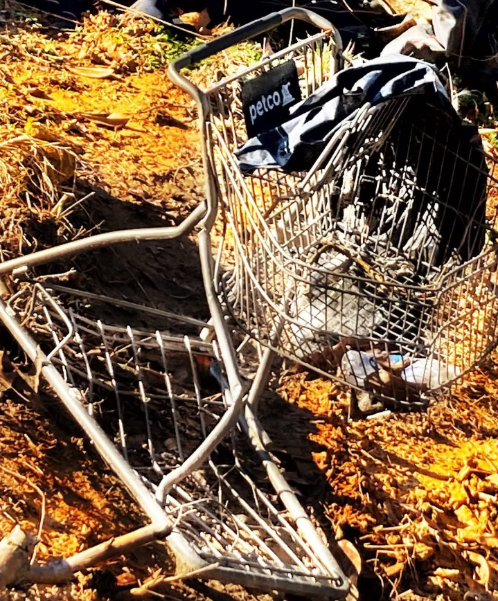 abandoned shopping cart on site