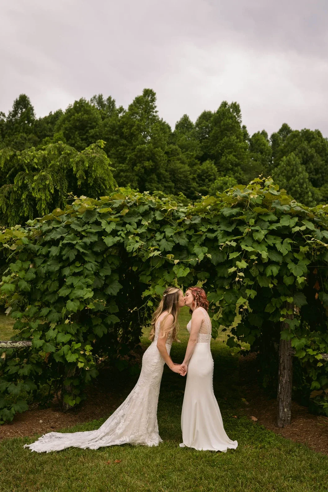 Grapevine Kiss - Aweits.webp