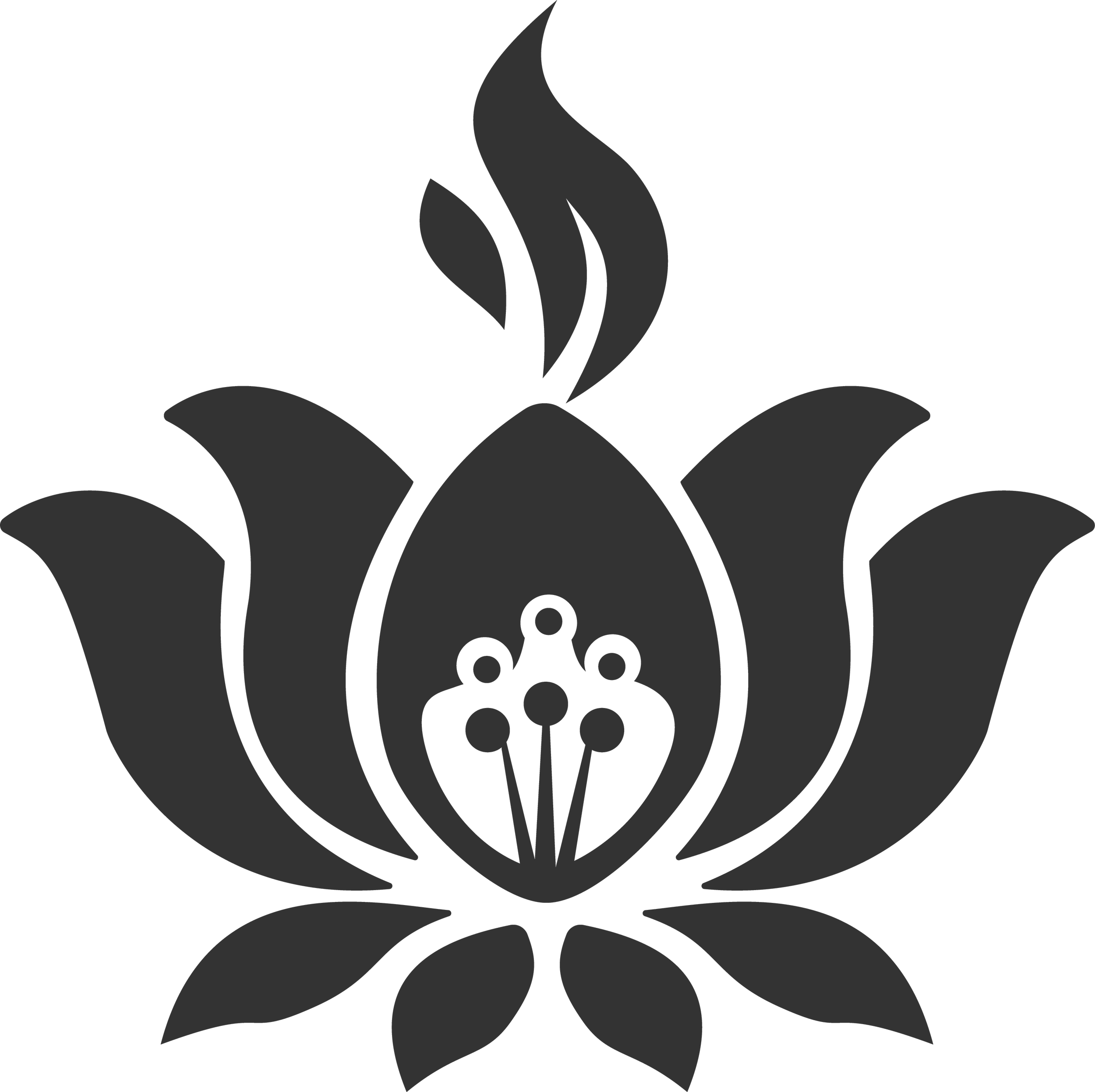Illuminated Petal