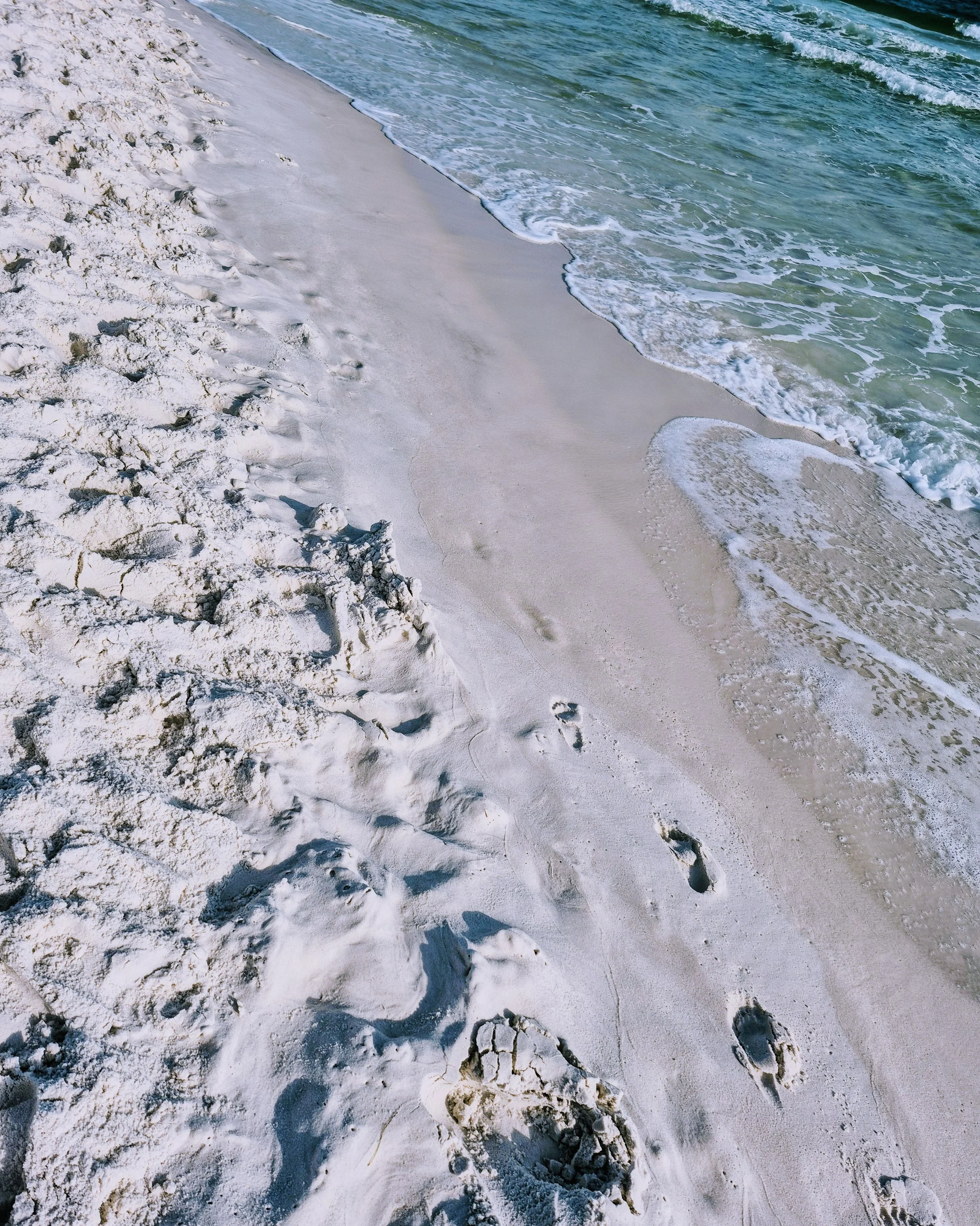 Ever Wondered What It’s Like to Be a Creature of the Night—On the Beach?