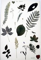 About the John Cage Trust