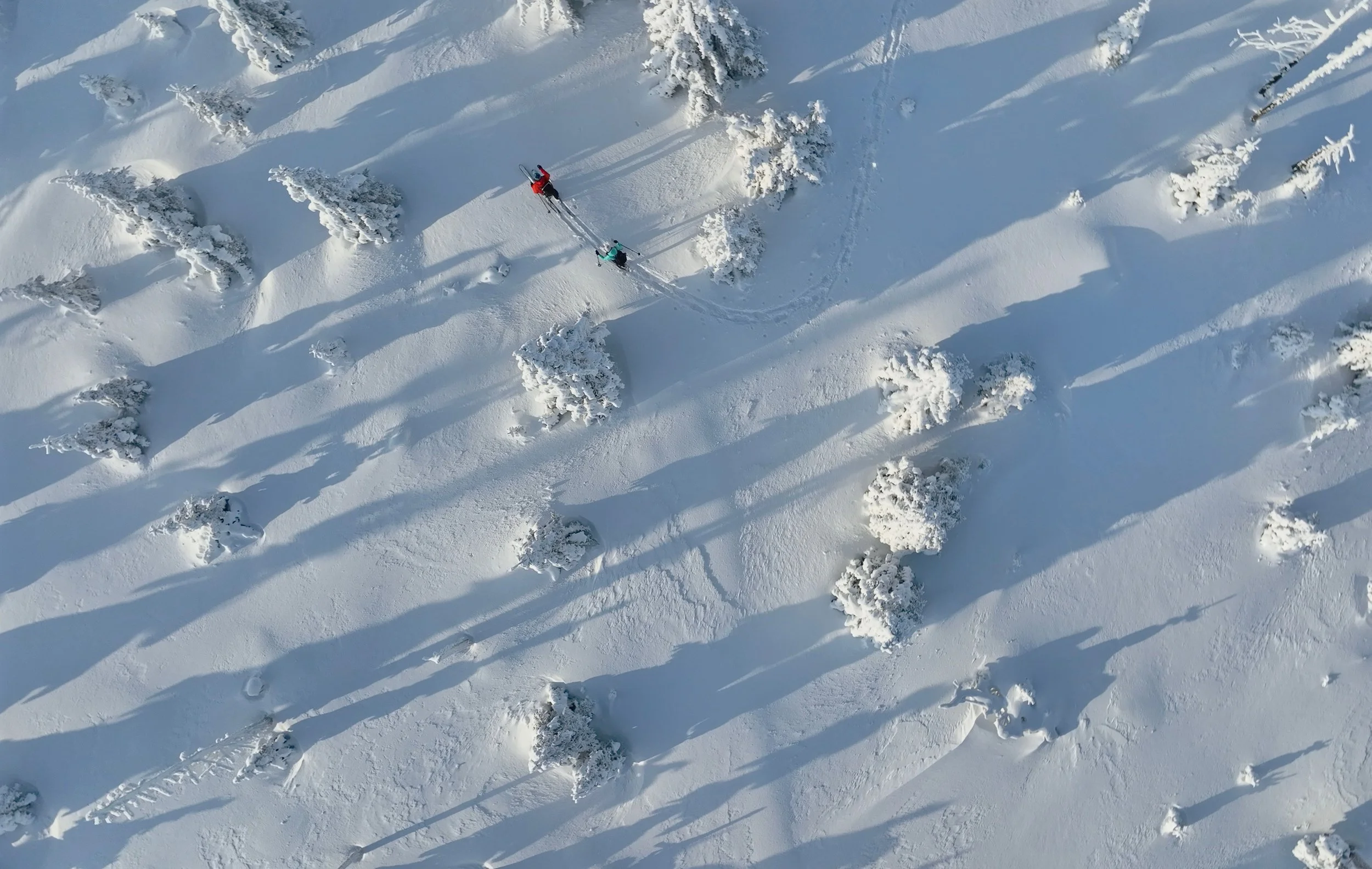 AdobeStock_1156773343 (1).jpeg