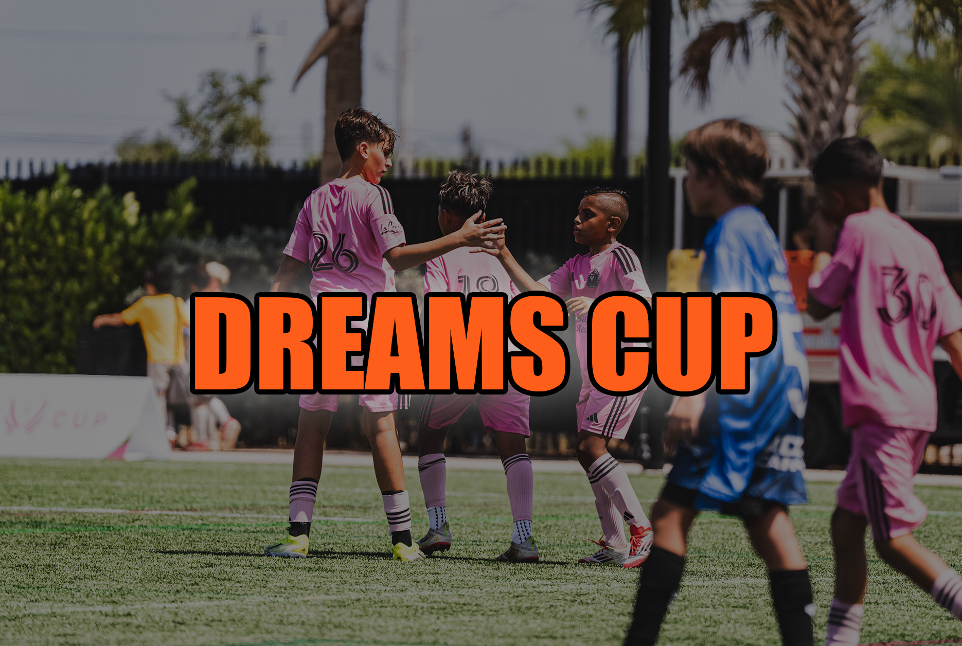 The Dreams Cup