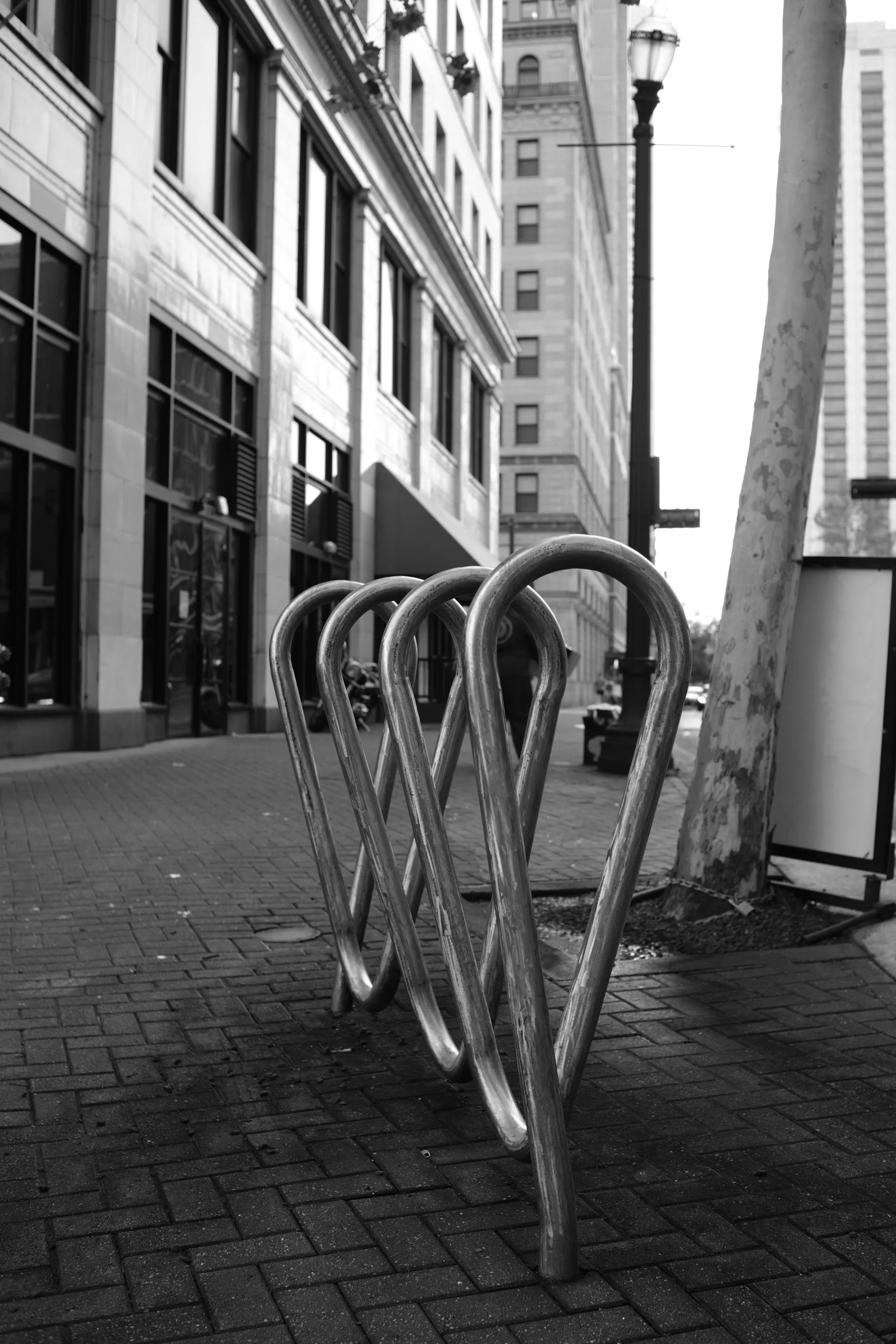 Bike racks looped like a line drawing.