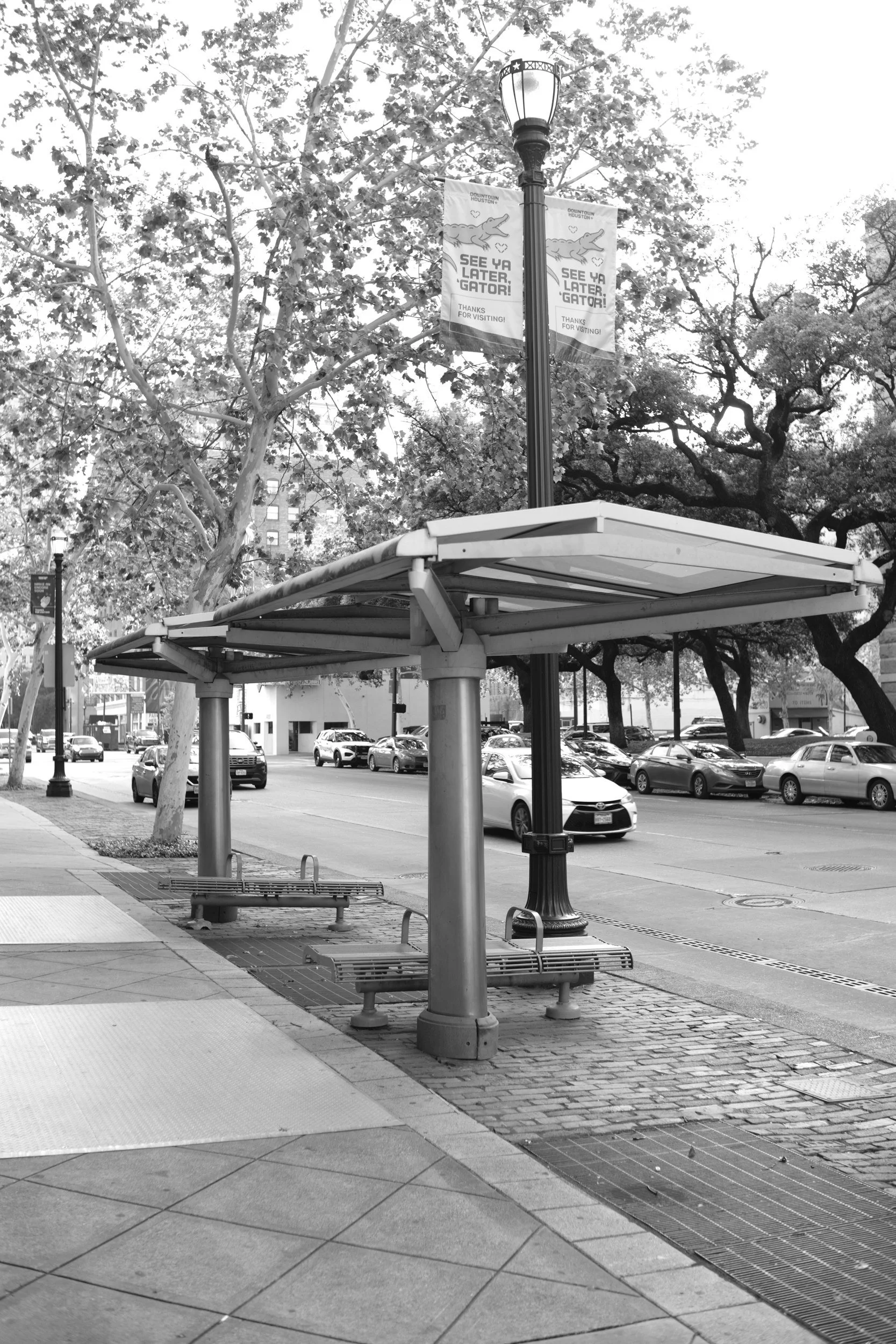 A transit shelter in morning light.