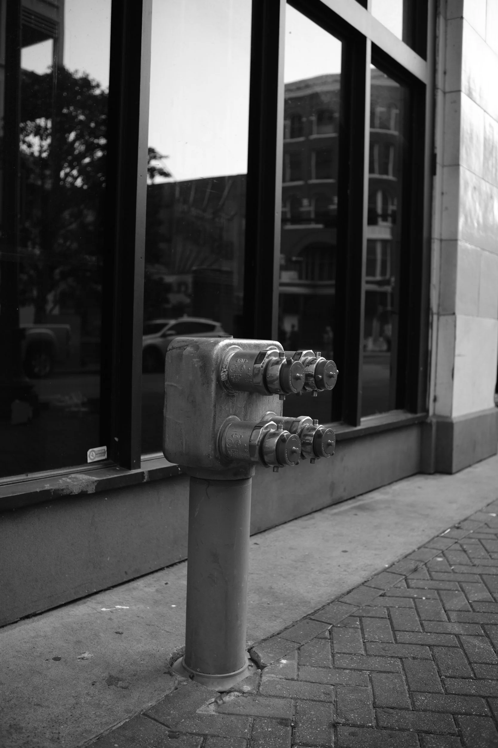 Plumbing brought out to the sidewalk to be admired.