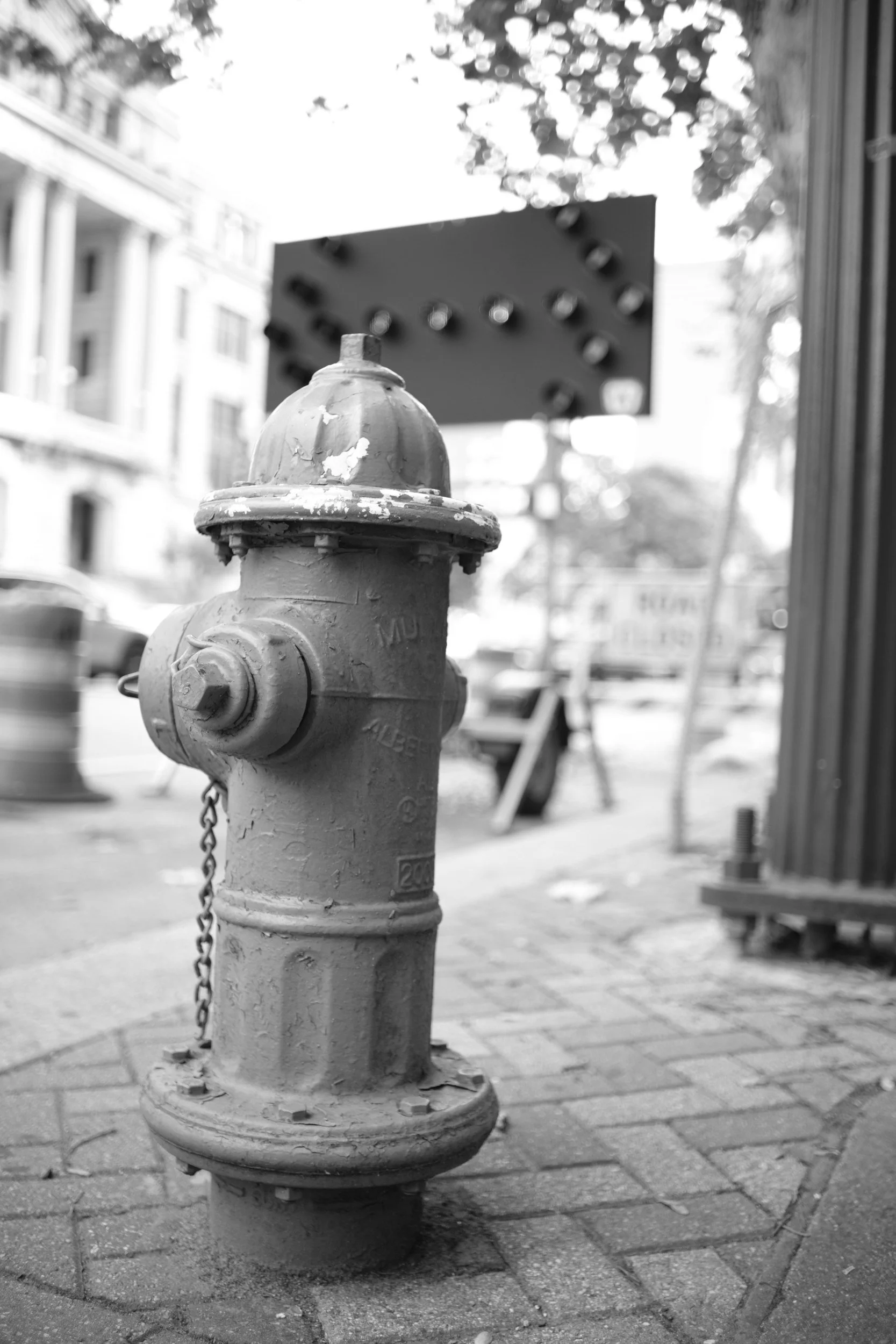 One of Preston's ongoing series of hydrant portraits.
