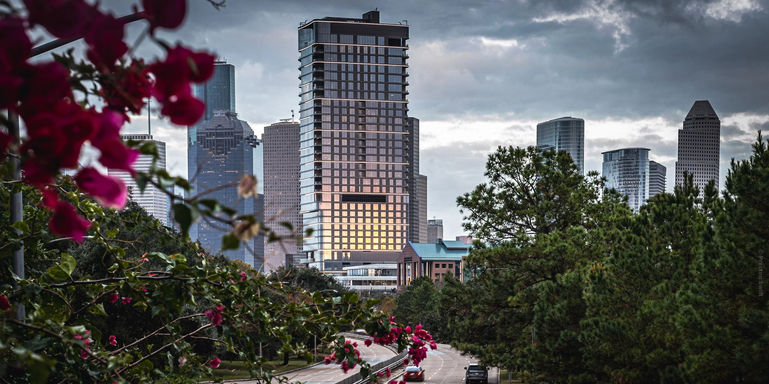 Downtown framed by flowering vines from the bayou trail.