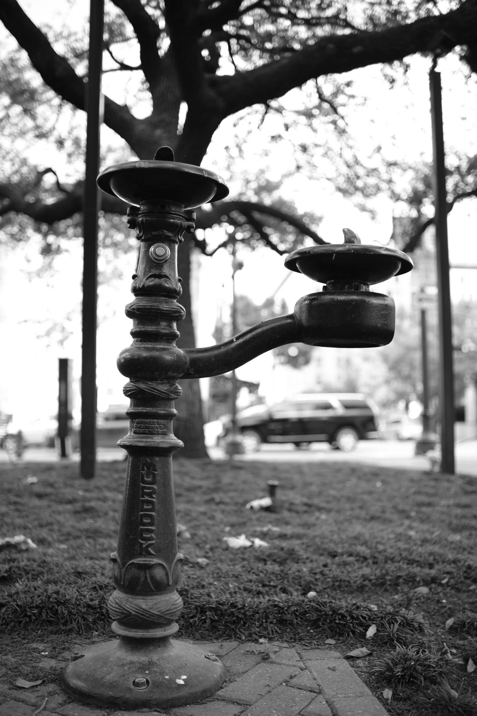 A vintage twin fixture under the oaks.
