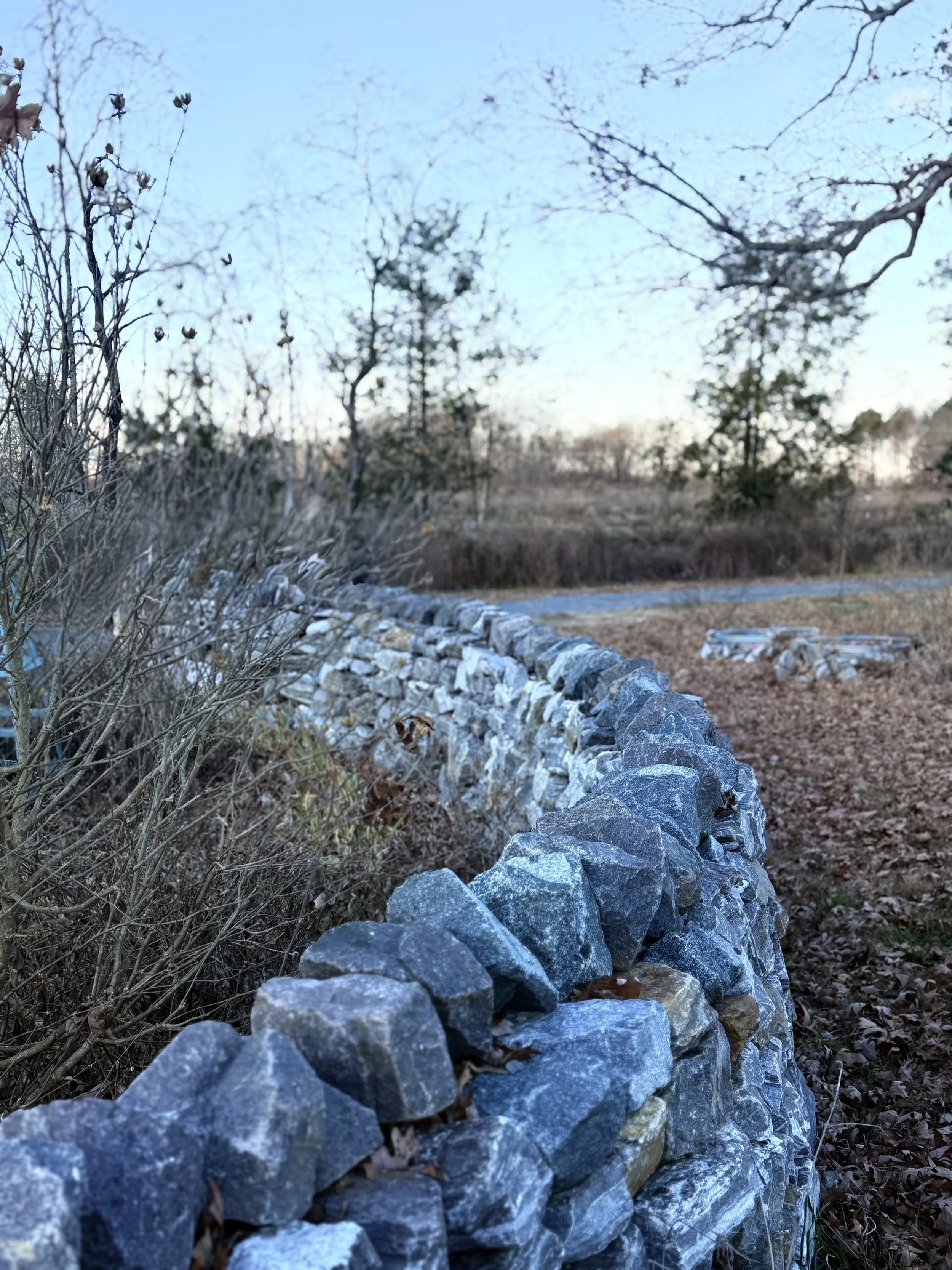 A stone wall with a rural landscape in the background, bare trees, and a blue sky.
