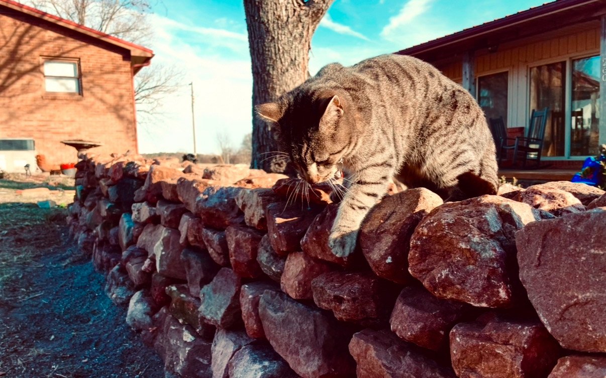 Drunk Farm Stack (all stones from property - made to look like a farm wall with batter )