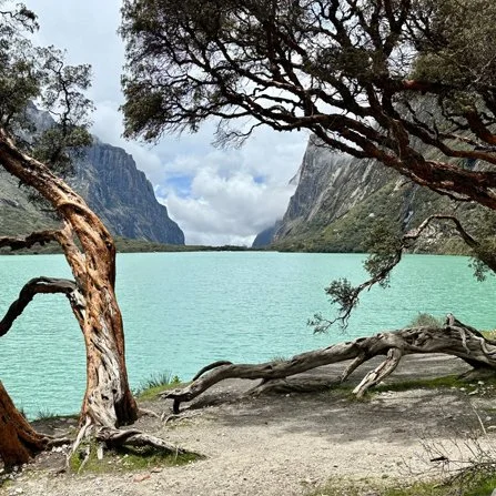 Vista de un lago turquesa rodeado de montañas y árboles
