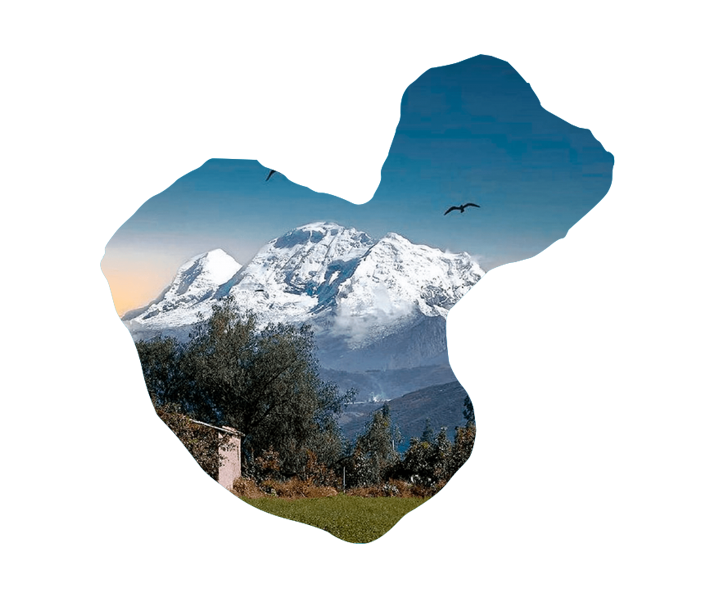 Paisaje con montañas nevadas, árboles y cielo con dos aves volando, en forma de mapamundi