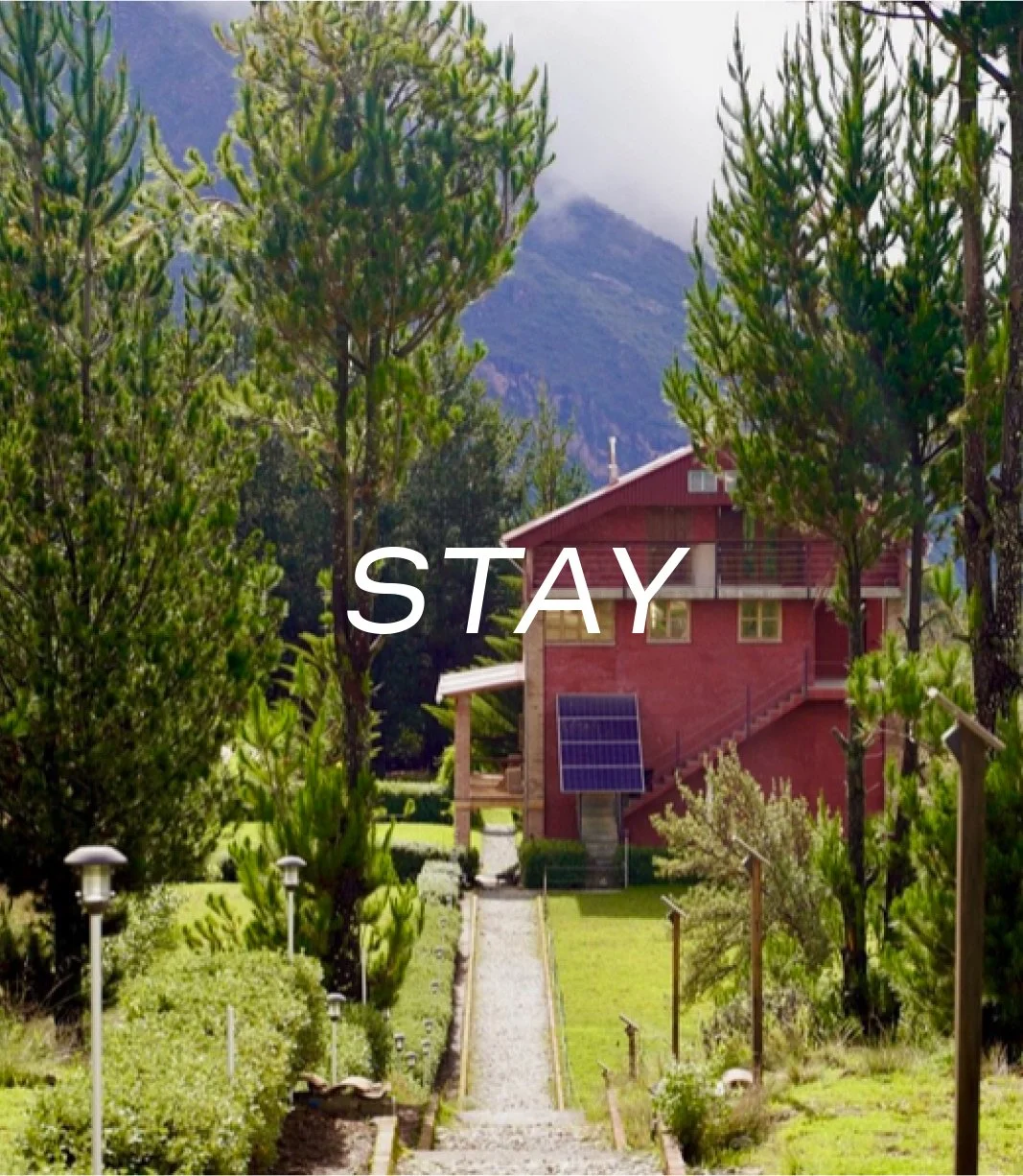 STAY.jpg