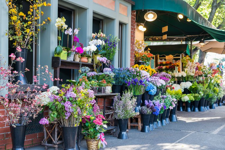 Outdoor flower market with colorful flowers and plants in black pots under green awnings.
