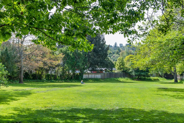 A grassy park with trees and a person sitting on the grass in the distance.