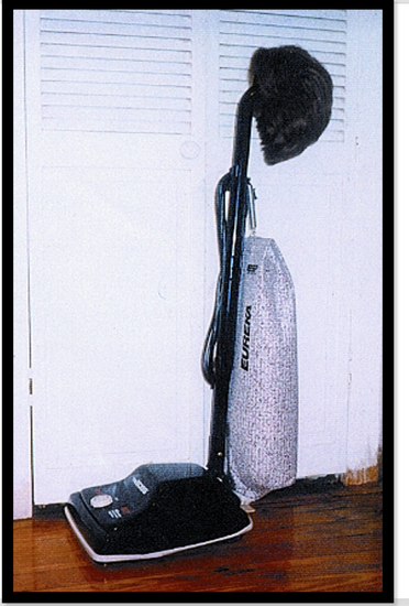 15. ... or even the vacuum cleaner. One day in Oncology I found a sheet of helpful hints that someone had compiled about how to deal with hair loss during chemotherapy. One of the suggestions was to vacuum your head to get rid of loose hair - that wa