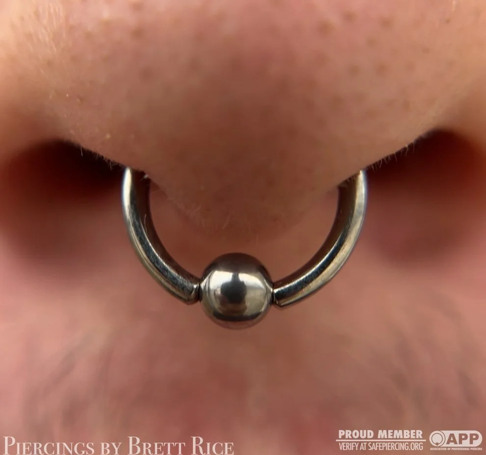 Septums from the other day. CBR made by @peoples_jewelry and circular barbell made by @intrinsicbody 

#septumpiercing #appmember #safepiercing #terrehautepiercing #midwestpiercer