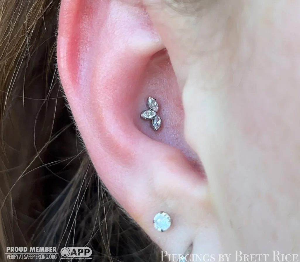 Conch piercing with a marquise fan cluster from @neometaljewelry ✨

#safepiercing #appmember #terrehautepiercing #midwestpiercer #conchpiercing