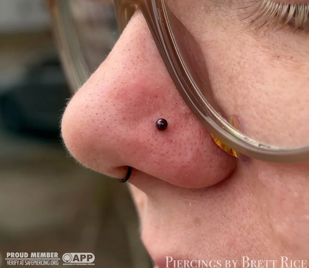 Fresh nostril with 2.5mm titanium ball @divinitymetals 

#appmember #safepiercing #terrehautepiercing #midwestpiercer #nostrilpiercing