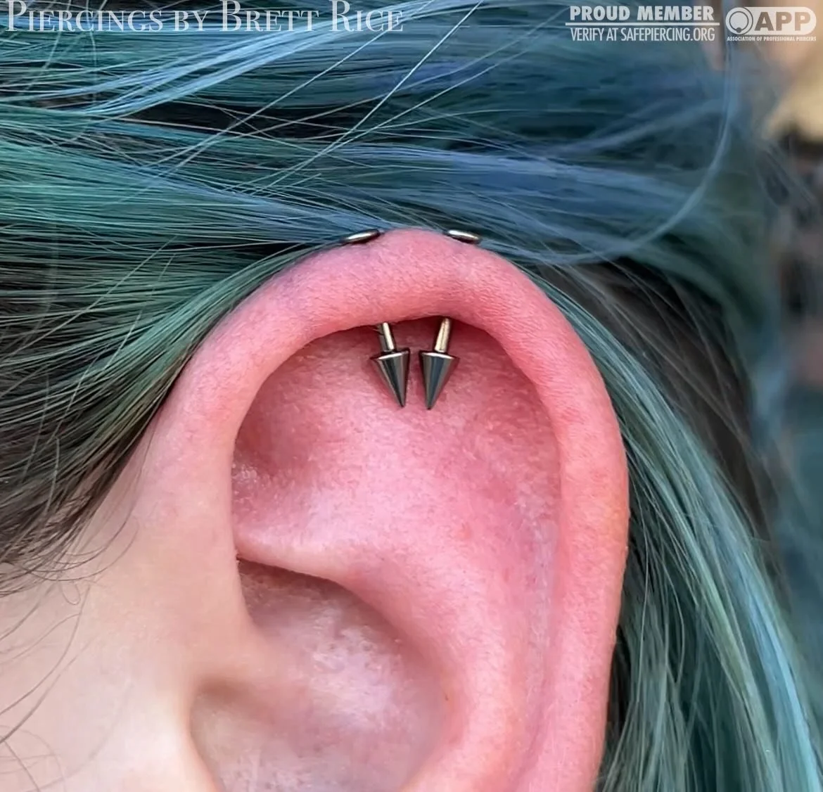 Vertical helix piercings done with implant certified titanium spikes @peoples_jewelry 

#safepiercing #appmember #terrehautepiercing #verticalhelixpiercing #midwestpiercer