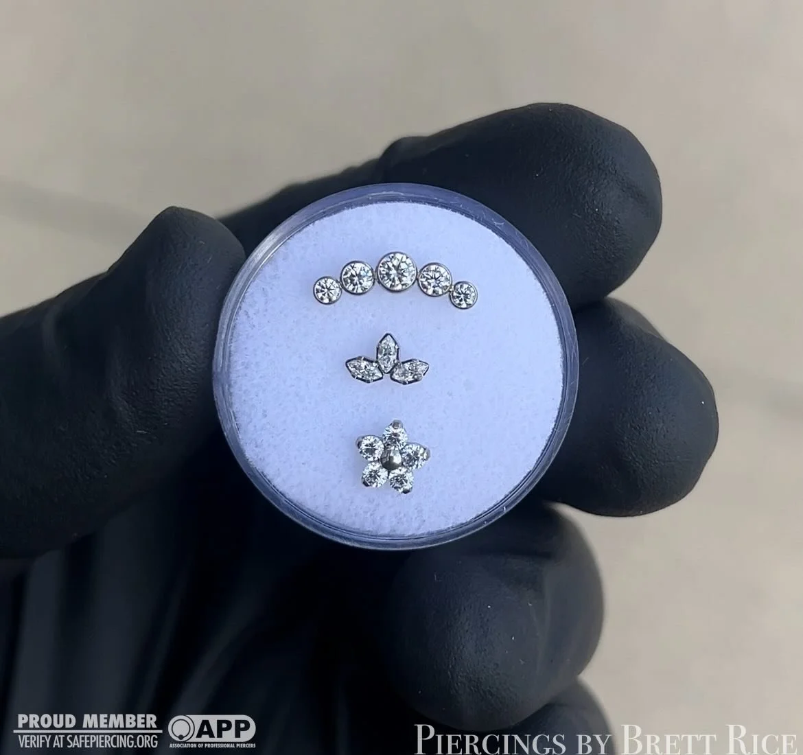 5-piece bezel curve, marquise fan, and flower @neometaljewelry - available at @no_worries_tattoo 

#safepiercing #appmember #terrehautepiercing #implantgradetitanium #midwestpiercer