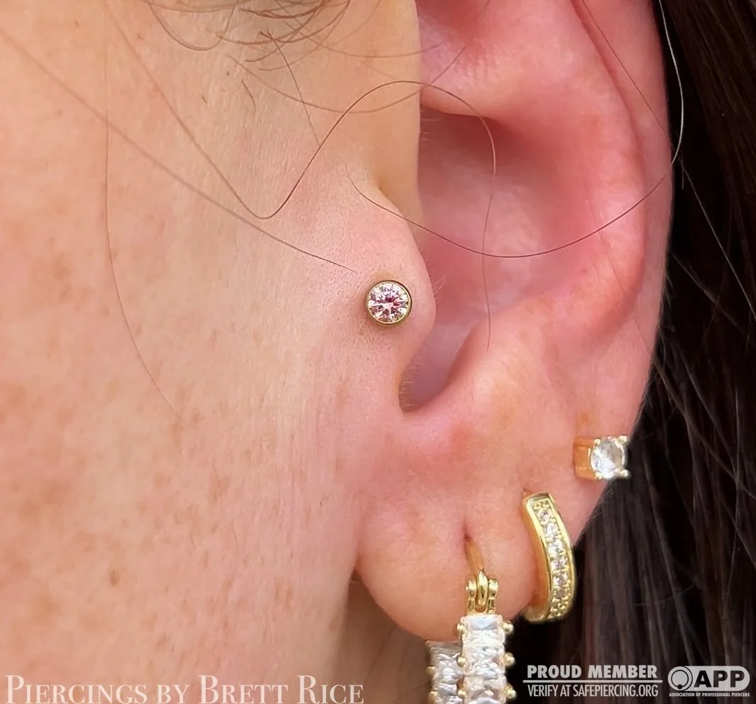 Tragus piercing with a 3mm morganite bezel @neometaljewelry 

#traguspiercing #appmember #safepiercing #terrehautepiercing #midwestpiercer