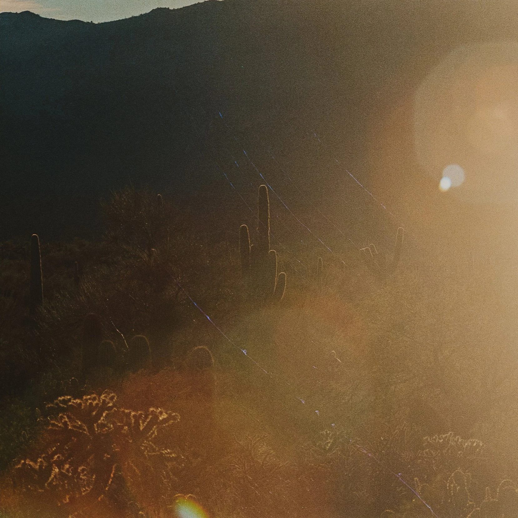 kelsea+callister+35mm+film-35-7.png