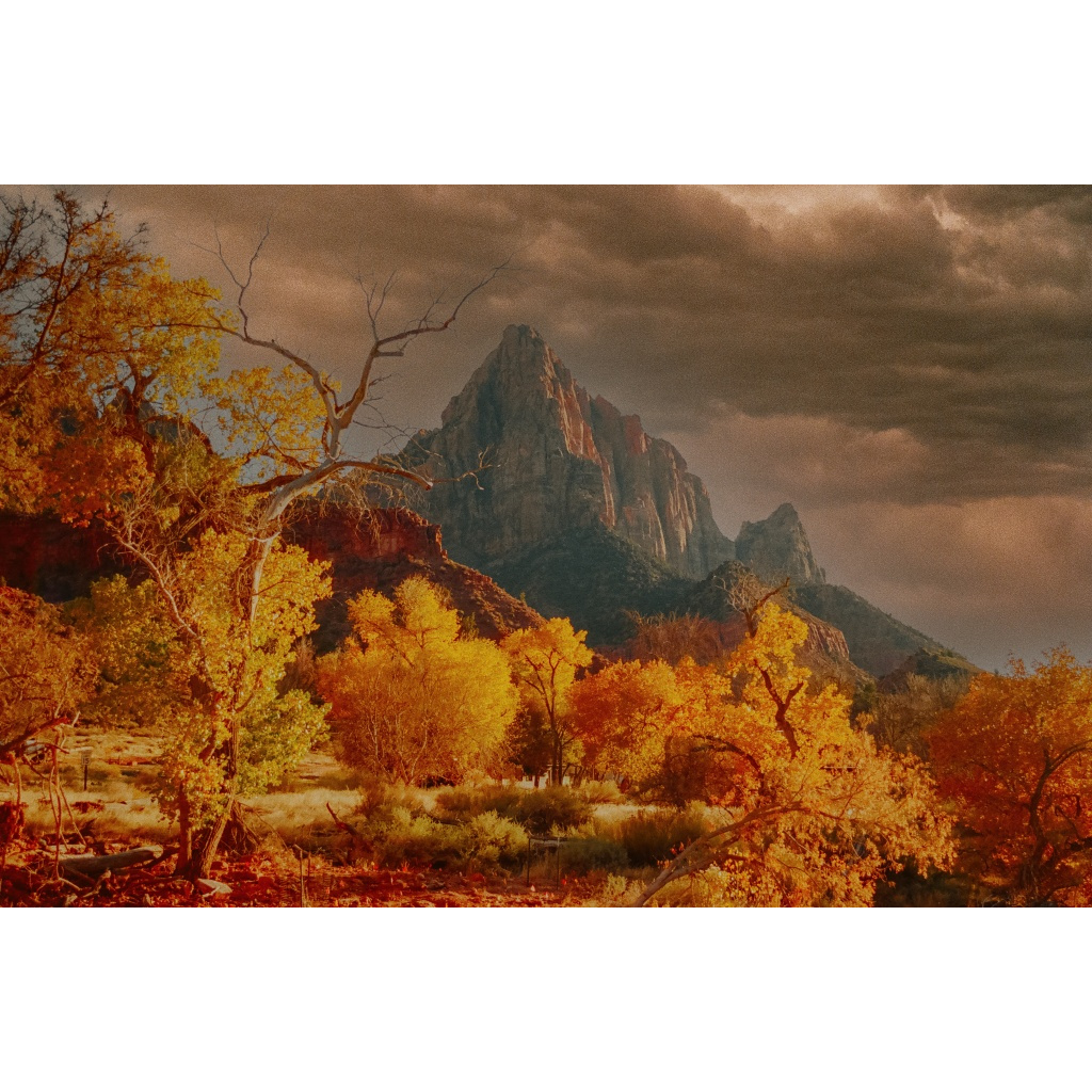 Autumn in Zion