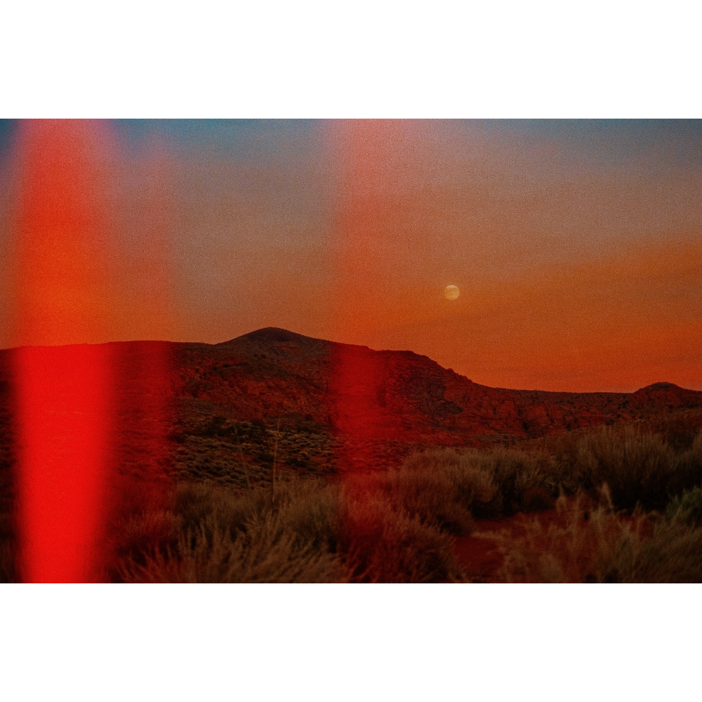 Desert Moon