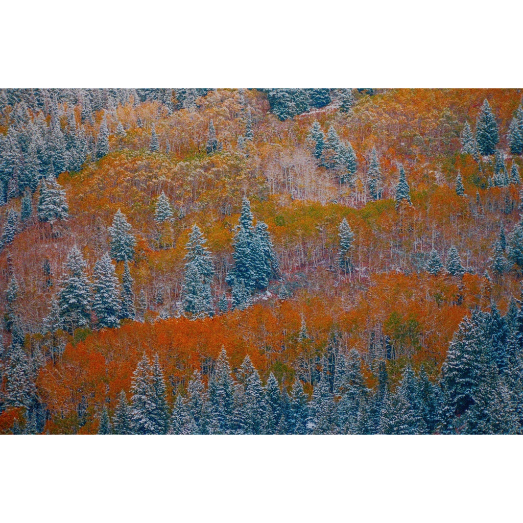 When Winter Meets Autumn