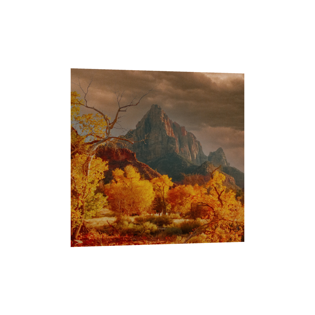 Autumn in Zion