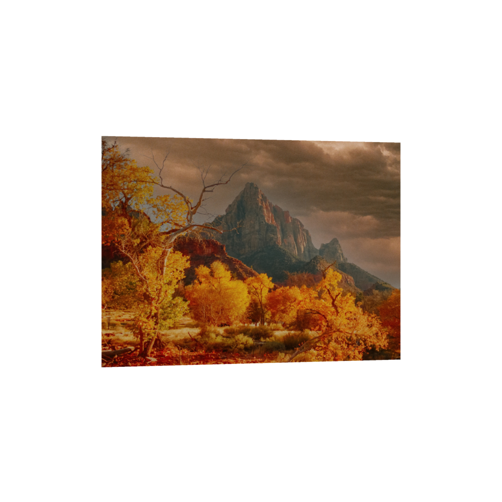 Autumn in Zion