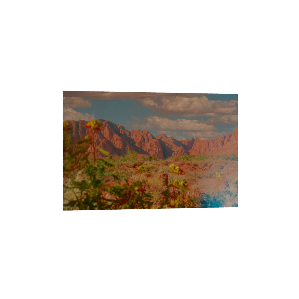 Western Wildflowers